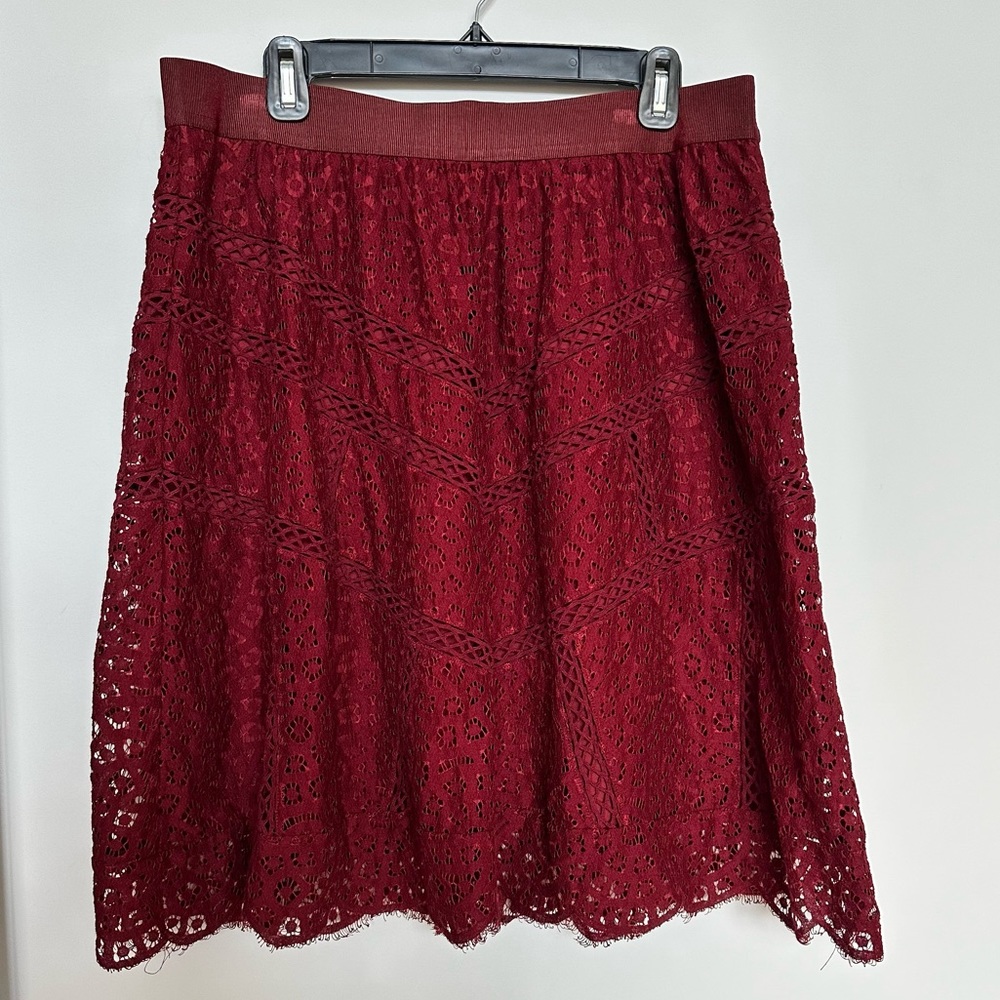 Ann Taylor Lace Skirt